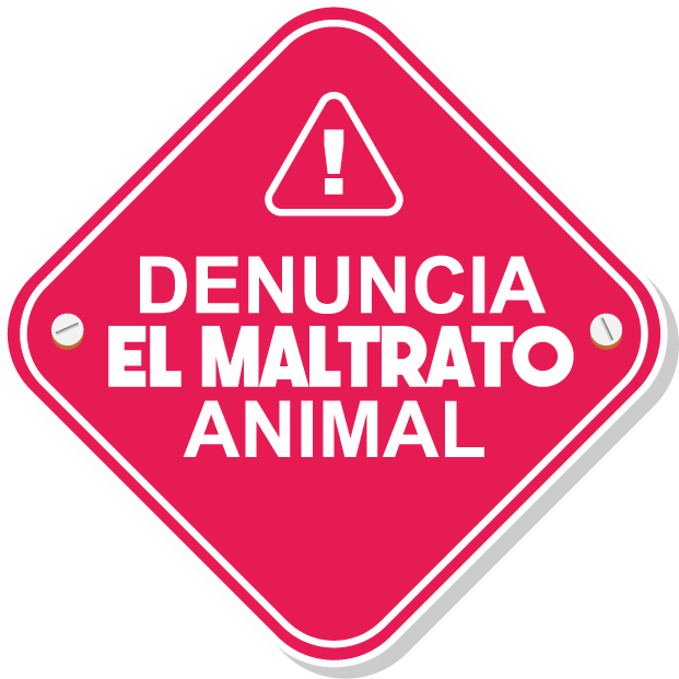 Rescate de animalitos del refugio Fundabolivar ubicado en San Antonio del Táchira