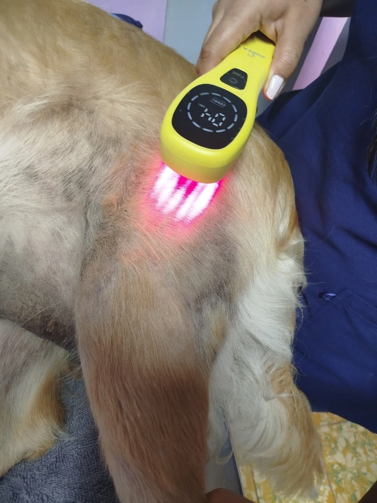 terapia laser