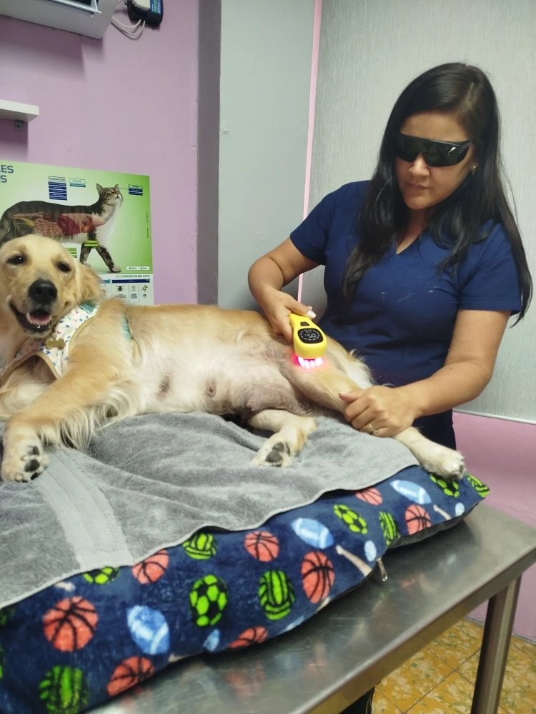 violeta terapia laser